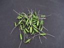 MKT1813 0,47µF